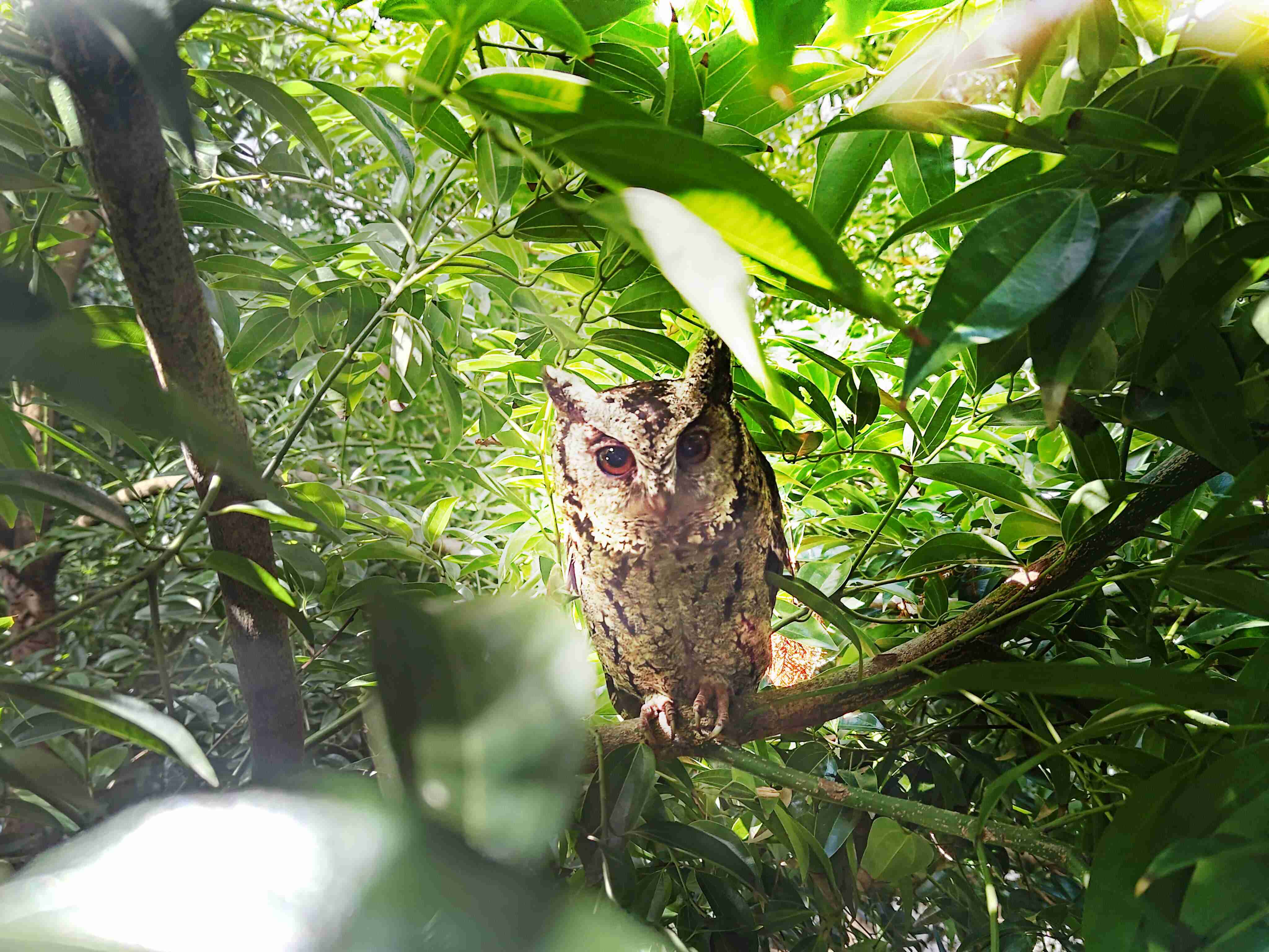 YAXIN111致力提倡净零绿生活，，，，16年以来在全球各厂区植树逾百万棵，，，造就各厂区树木蔚然成林，，，，犹如森林工厂，，，成为许多生物的栖息地